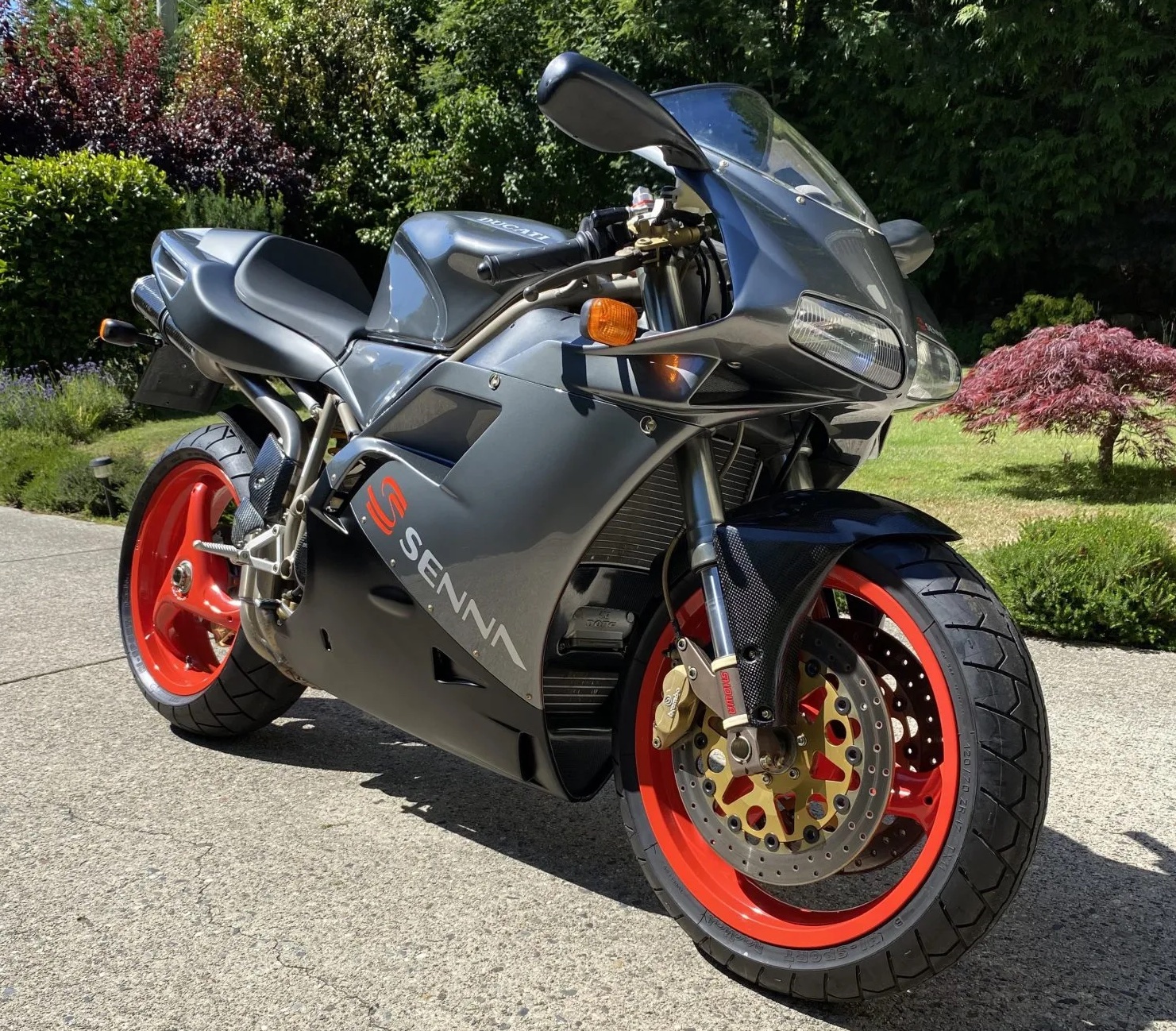 ducati 916
              senna