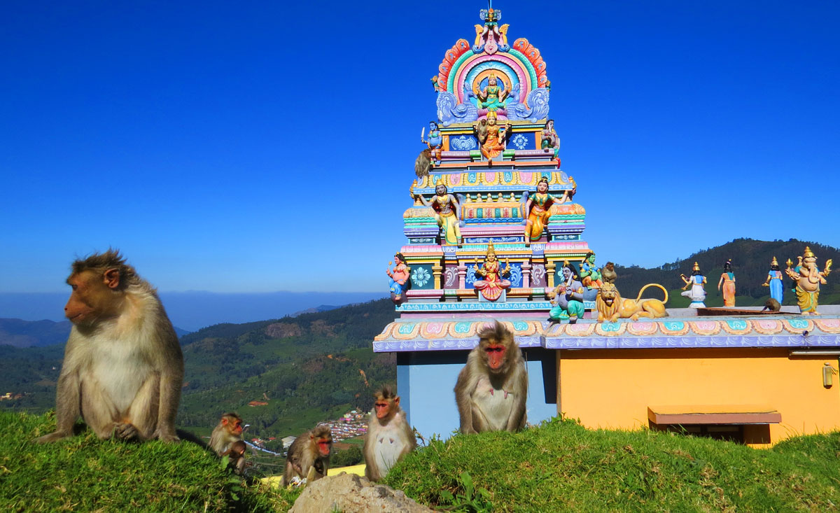 India
              motorcycle trip